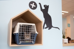 leczenie-rehabilitacja-kota- domek-dla-kota-w-poczekalni-Psychodni